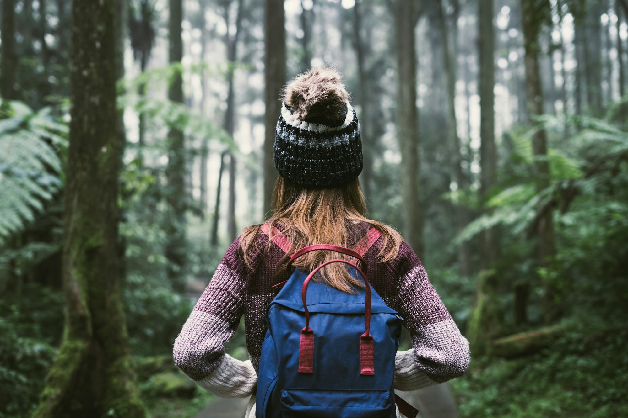 Young woman traveler walking in the forest